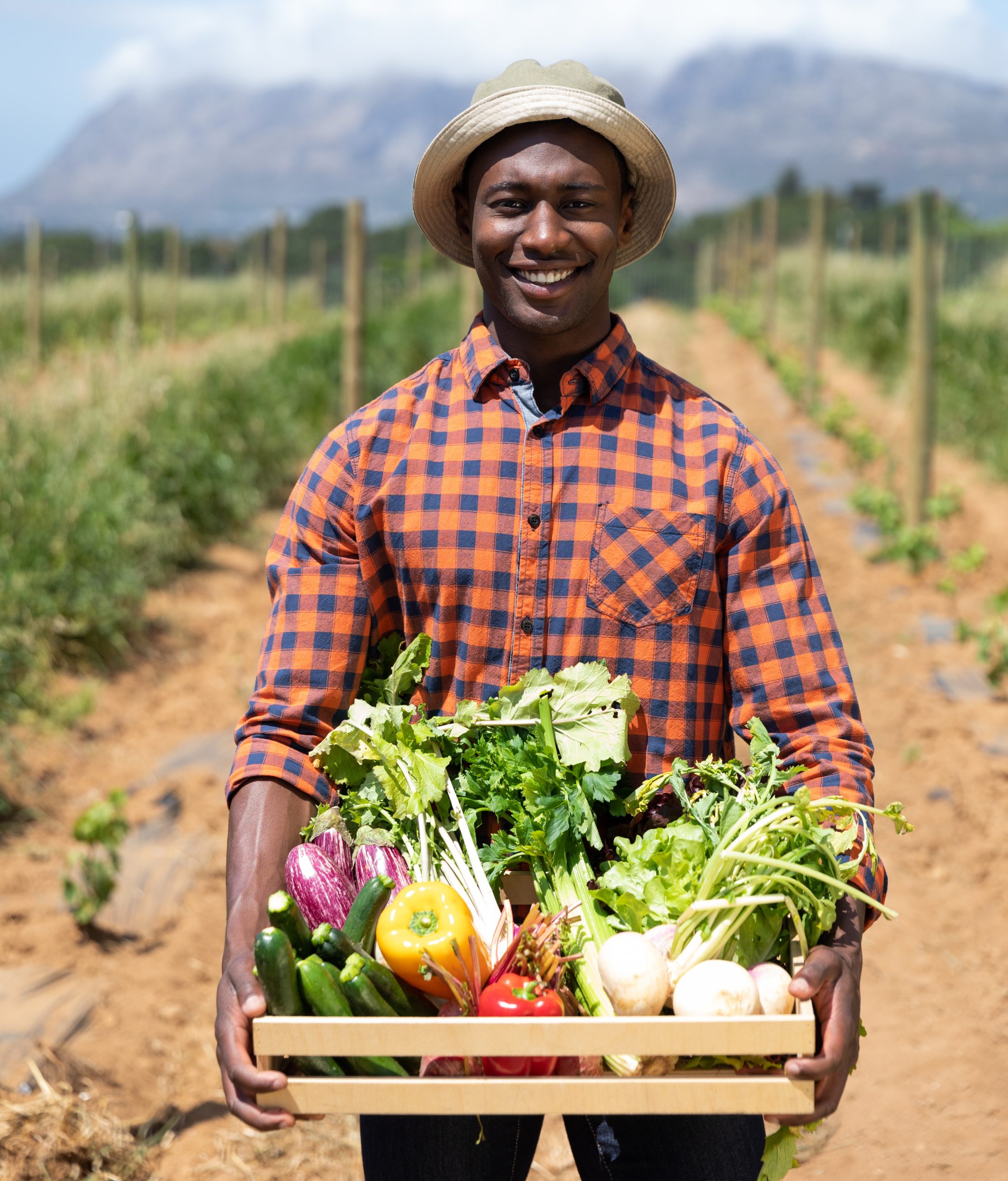 Portrait of a happy African American man standing in a farming field carrying a box of fresh organic vegetables, smiling. Family enjoying time at home, lifestyle concept